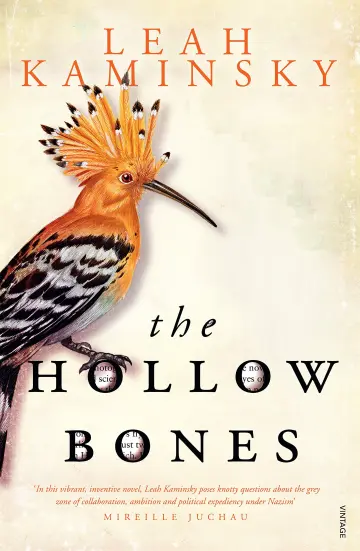 Cover of The Hollow Bones