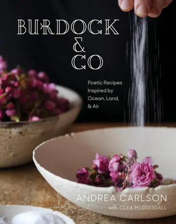 Cover of Burdock & Co