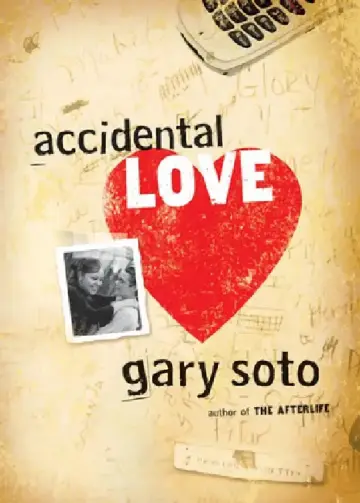 Cover of Accidental Love