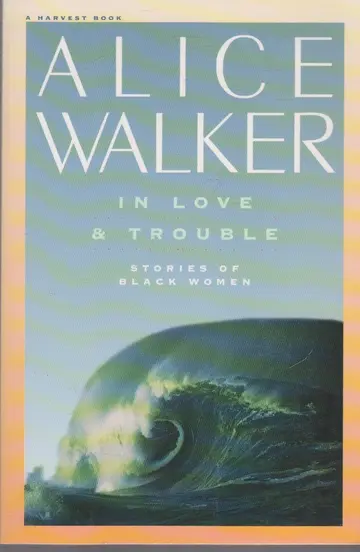 Cover of In Love and Trouble