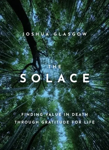 Cover of The Solace