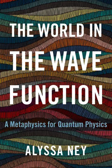 Cover of The World in the Wave Function