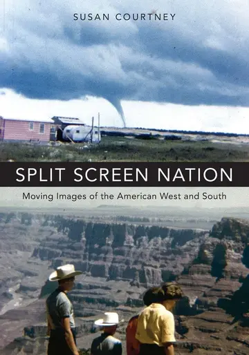 Cover of Split Screen Nation