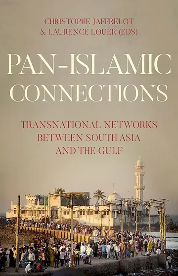 Cover of Pan-Islamic Connections