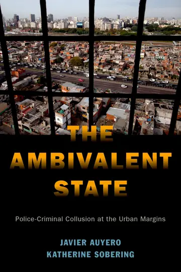 Cover of The Ambivalent State