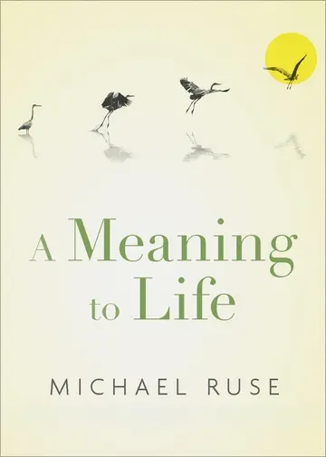 Cover of A Meaning to Life
