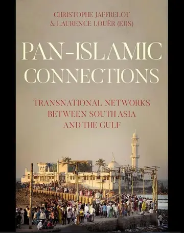 Cover of Pan-Islamic Connections