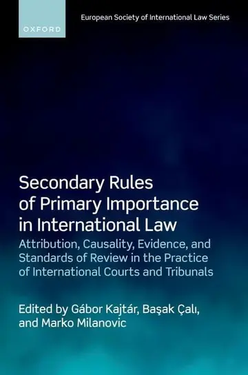 Cover of Secondary Rules of Primary Importance in International Law