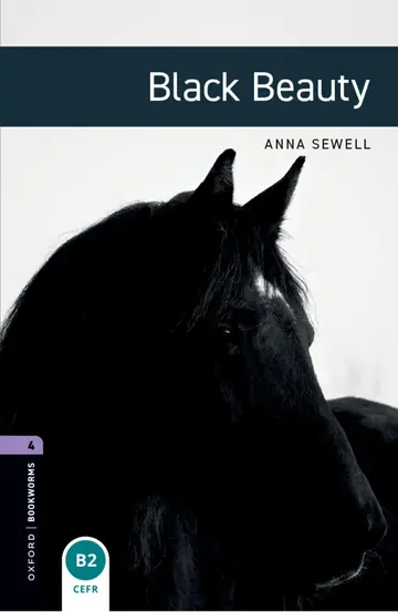 Cover of Obw 4