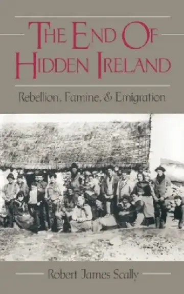 Cover of The End of Hidden Ireland