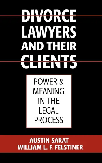 Cover of Divorce Lawyers and Their Clients