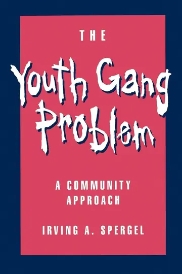 Cover of The Youth Gang Problem