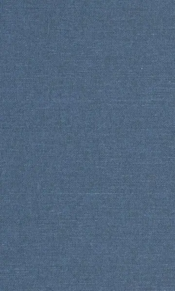 Cover of The White Image in the Black Mind