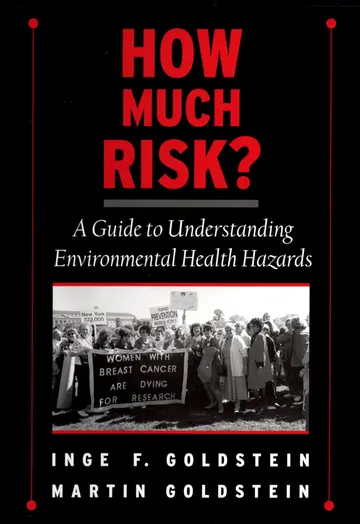 Cover of How Much Risk?