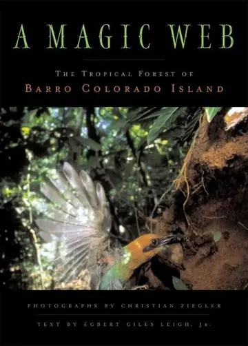 Cover of A Magic Web