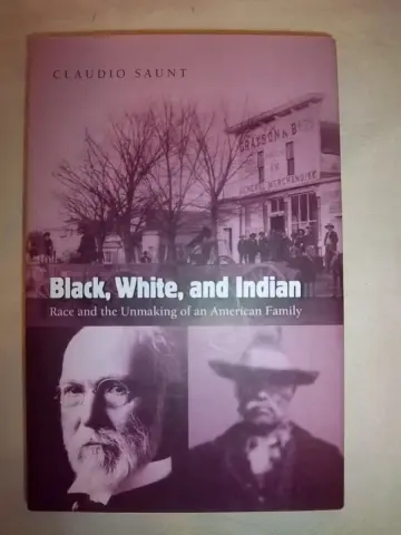 Cover of Black, White, and Indian