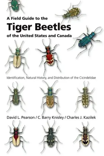 Cover of A Field Guide to the Tiger Beetles of the United States and Canada