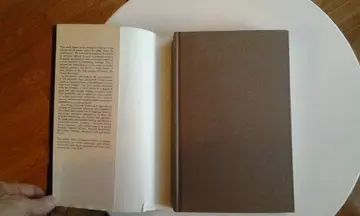 Cover of Prophets and Millennialists