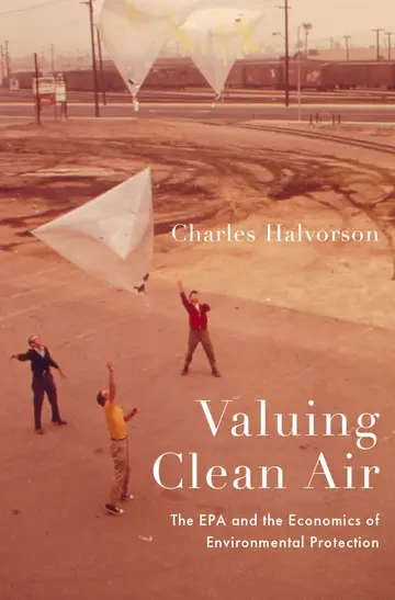 Cover of Valuing Clean Air