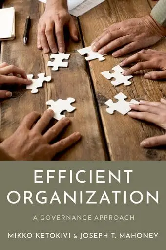 Cover of Efficient Organization