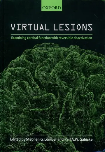 Cover of Virtual Lesions