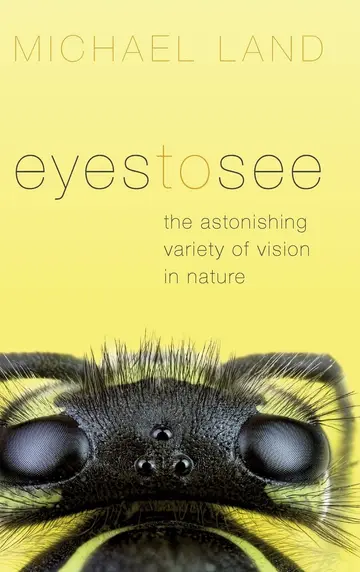 Cover of Eyes to See C