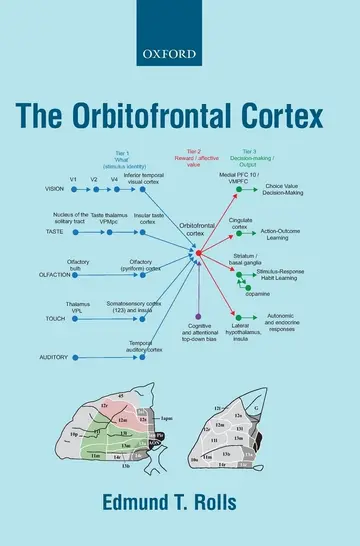 Cover of The Orbitofrontal Cortex