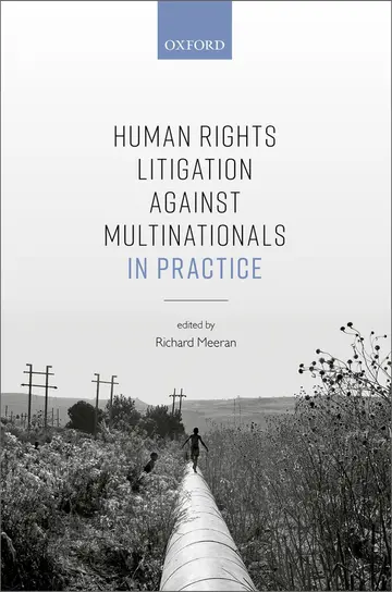 Cover of Human Rights Litigation against Multinationals in Practice