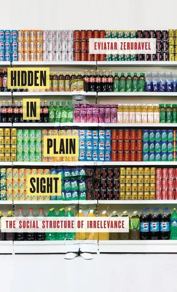 Cover of Hidden in Plain Sight
