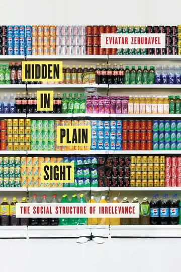 Cover of Hidden in Plain Sight