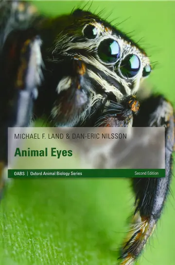 Cover of Animal Eyes