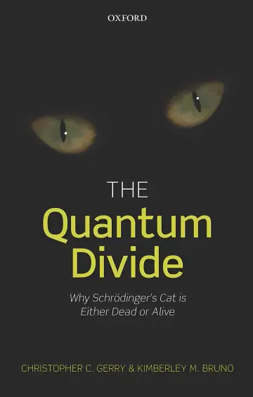 Cover of The Quantum Divide
