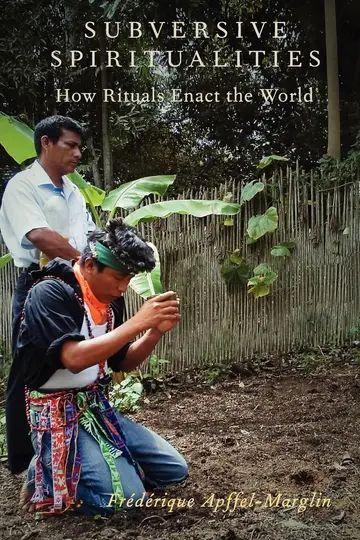 Cover of Subversive Spiritualities
