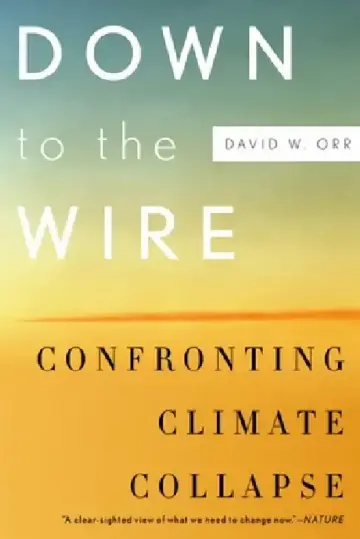 Cover of Down to the Wire