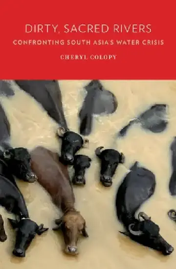 Cover of Dirty, Sacred Rivers