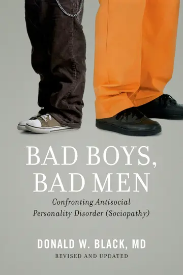 Cover of Bad Boys, Bad Men