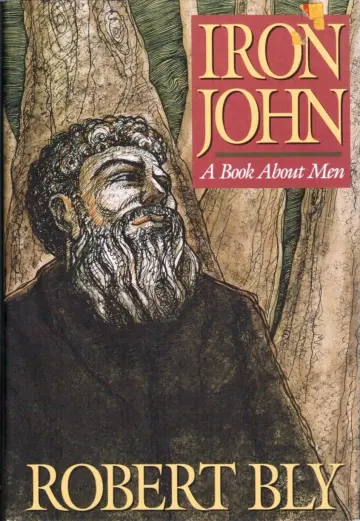 Cover of Iron John