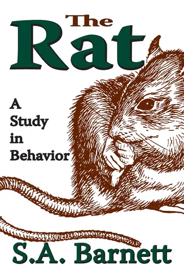 Cover of The Rat