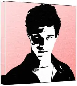 Cover of Taylor Lautner - Pop Art Print (2-Colour Black & White; Pink Background) 50 x 50 x 2 cm Large Square Deep Box Canvas