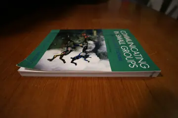 Cover of Communicating in Small Groups