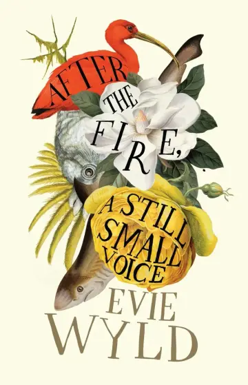 Cover of After the Fire, A Still Small Voice