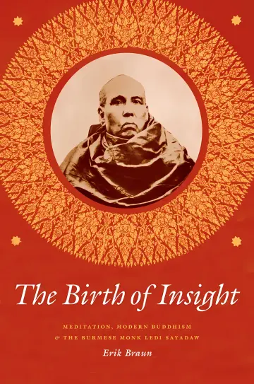 Cover of The Birth of Insight