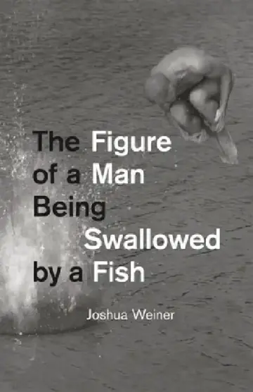 Cover of The Figure of a Man Being Swallowed by a Fish