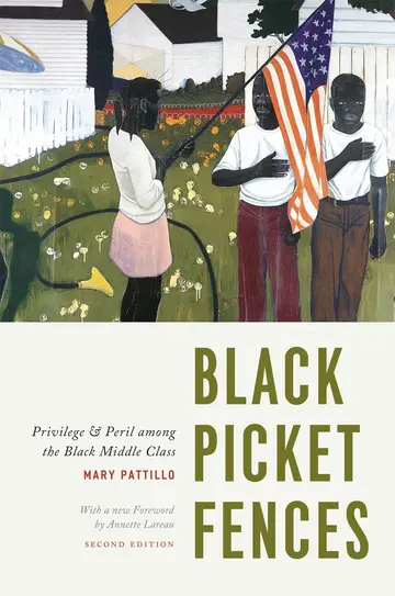 Cover of Black Picket Fences