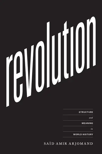 Cover of Revolution – Structure and Meaning in World History