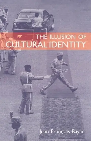 Cover of The Illusion of Cultural Identity