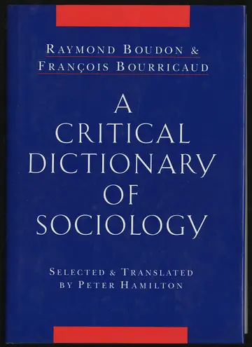 Cover of A Critical Dictionary of Sociology