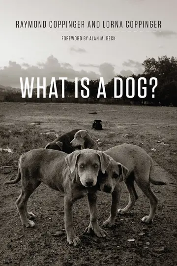 Cover of What Is a Dog?