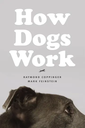 Cover of How Dogs Work
