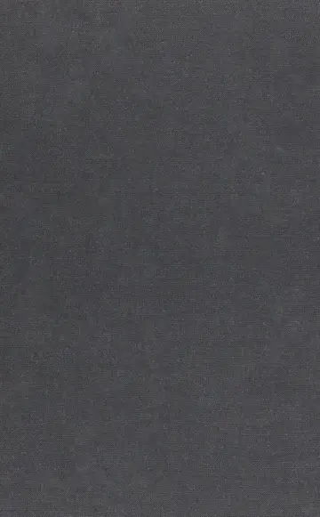 Cover of Dialogue on the Infinity of Love